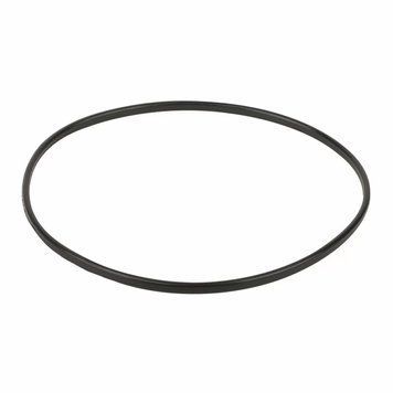 Ущільнювальне кільце до притискного фланця корпуса насоса Emaux SC (02011089) AQ_12070 фото